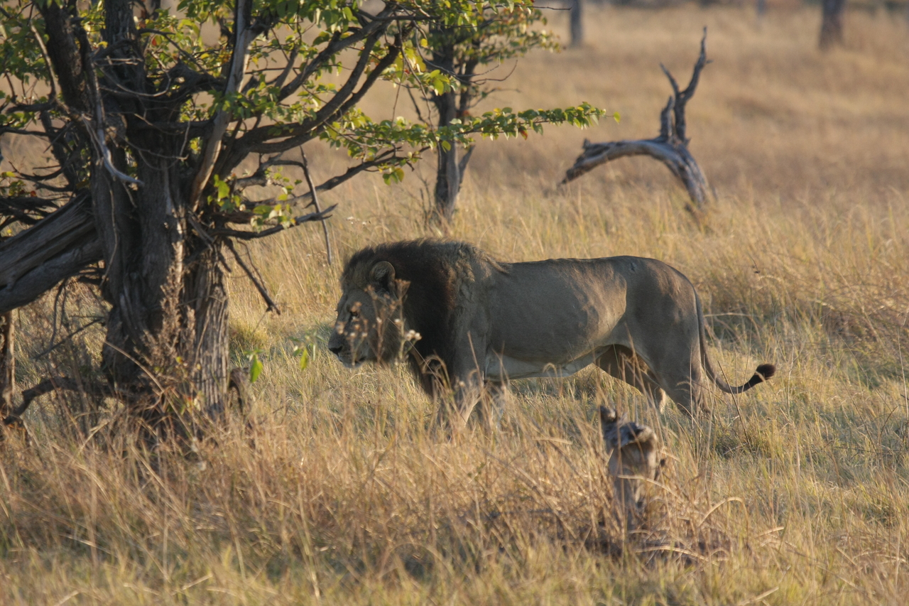 [22594] 2016_06_30_01_36_25_Africa_Canon_EOS_40D_IMG__04150.jpg