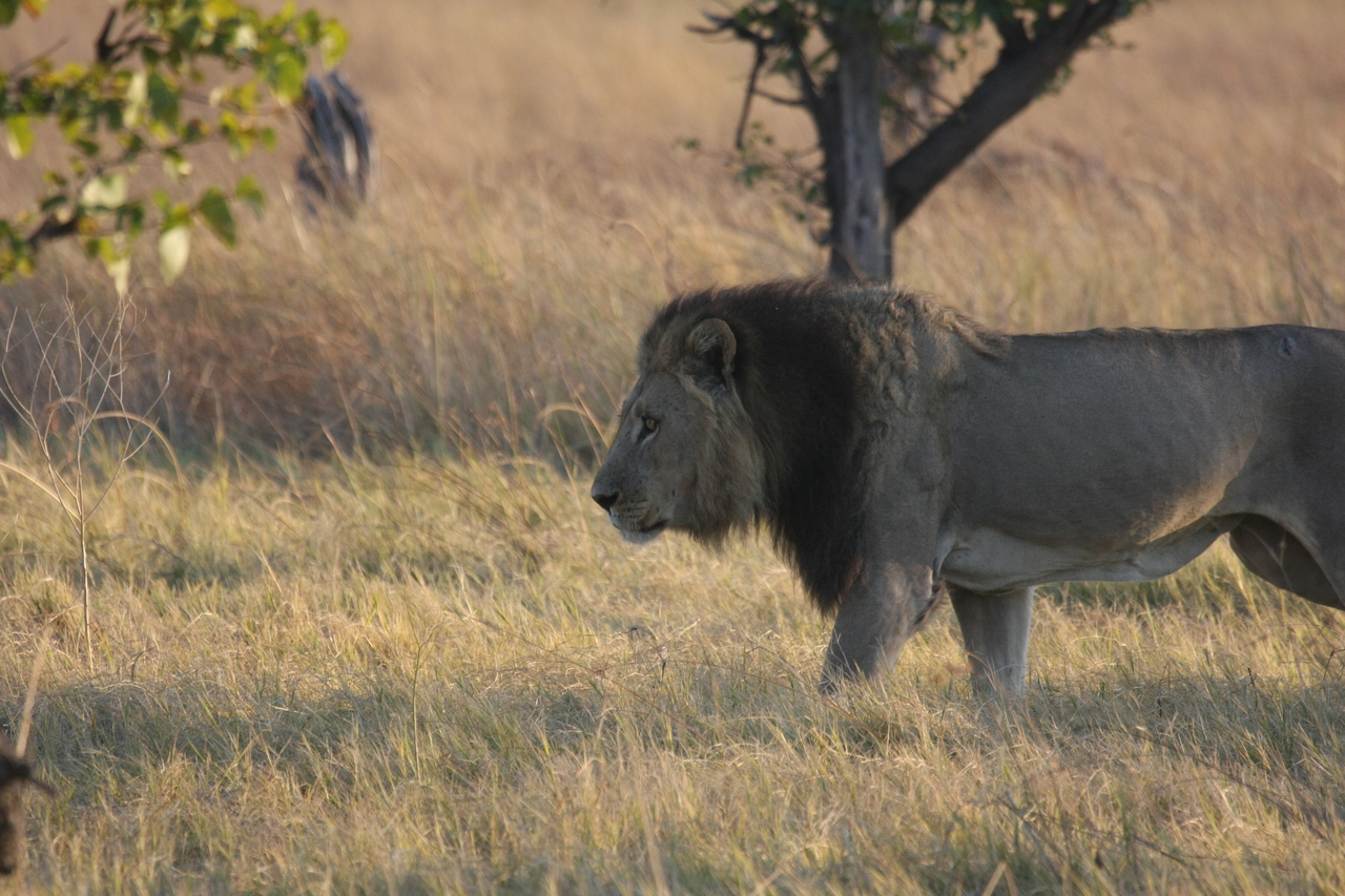 [22601] 2016_06_30_01_36_33_Africa_Canon_EOS_40D_IMG__04173.jpg