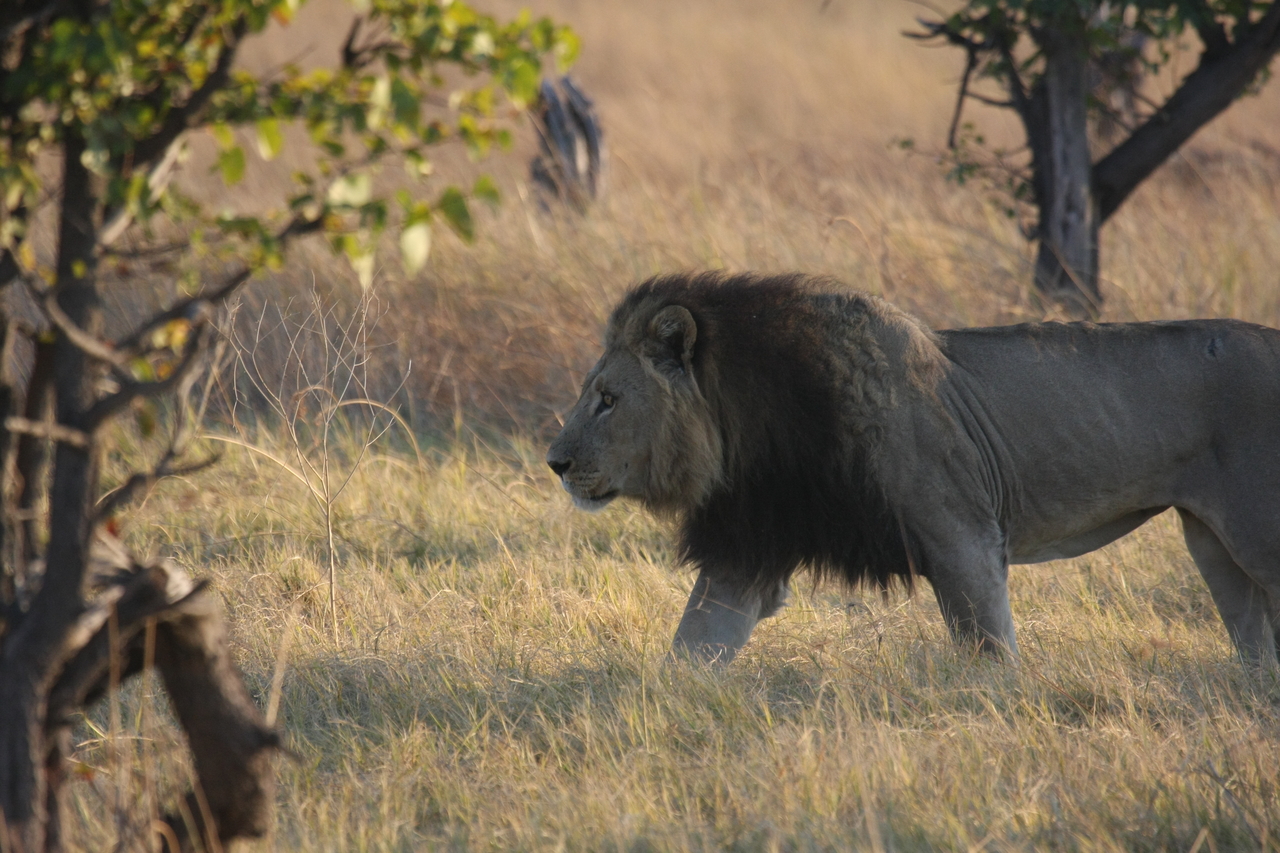 [22606] 2016_06_30_01_36_34_Africa_Canon_EOS_40D_IMG__04195.jpg