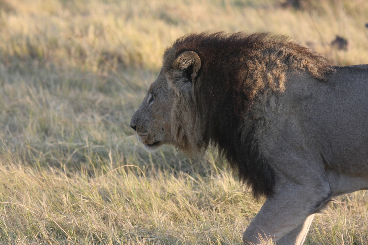 [22623] 2016_06_30_01_38_28_Africa_Canon_EOS_40D_IMG__11697.jpg