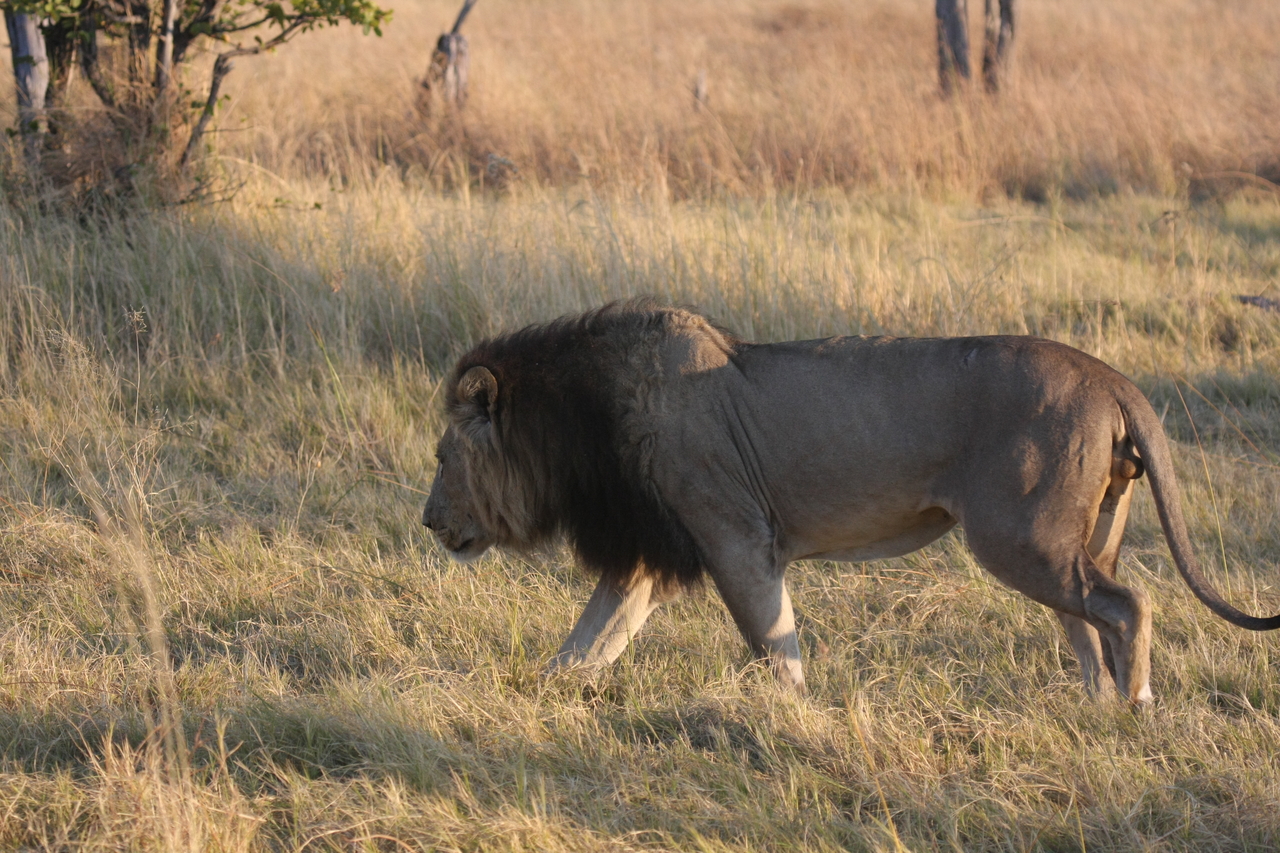 [22626] 2016_06_30_01_38_32_Africa_Canon_EOS_40D_IMG__11708.jpg