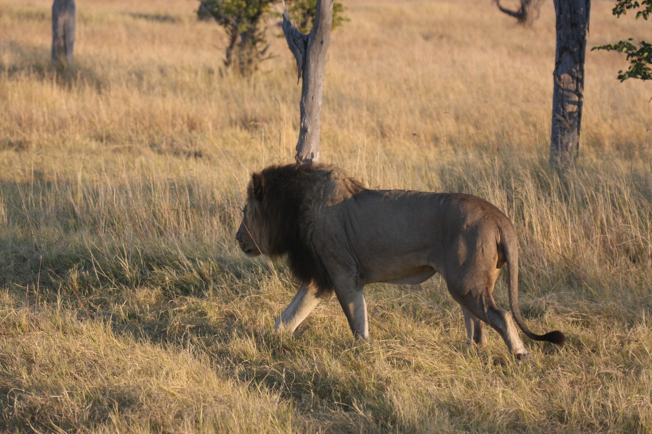 [22632] 2016_06_30_01_38_38_Africa_Canon_EOS_40D_IMG__11731.jpg