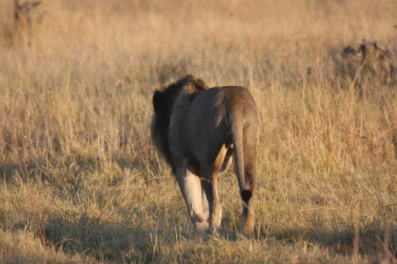 [22638] 2016_06_30_01_39_03_Africa_Canon_EOS_40D_IMG__04295.jpg