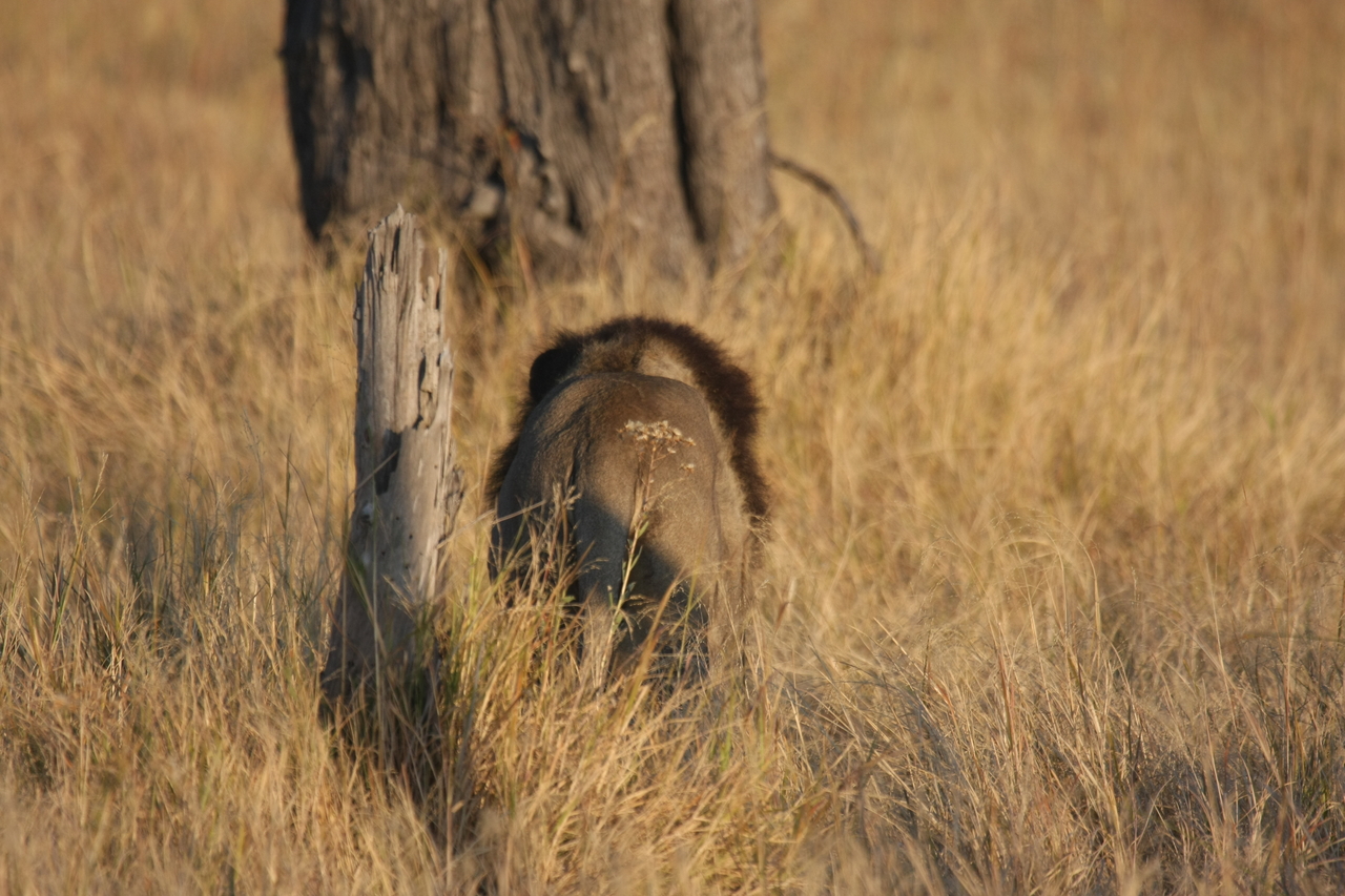 [22643] 2016_06_30_01_40_05_Africa_Canon_EOS_40D_IMG__00591.jpg