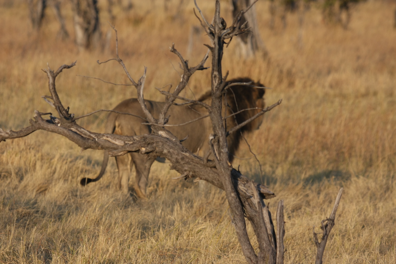 [22662] 2016_06_30_01_41_48_Africa_Canon_EOS_40D_IMG__04383.jpg