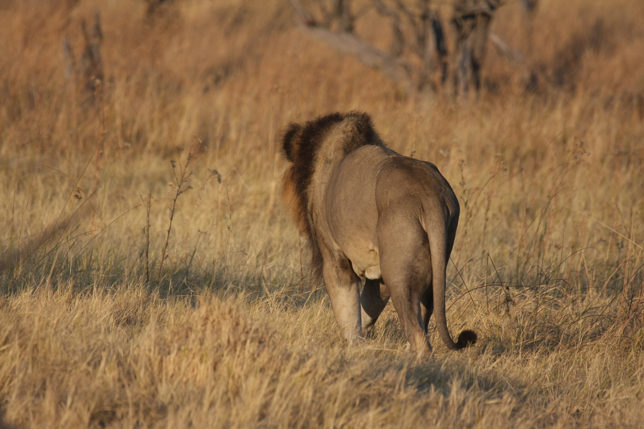 [22669] 2016_06_30_01_42_11_Africa_Canon_EOS_40D_IMG__11853.jpg