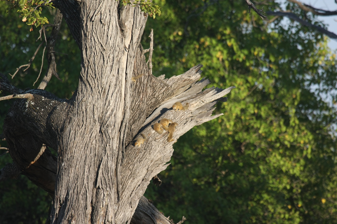 [22740] 2016_06_30_01_55_25_Africa_Canon_EOS_40D_IMG__00808.jpg