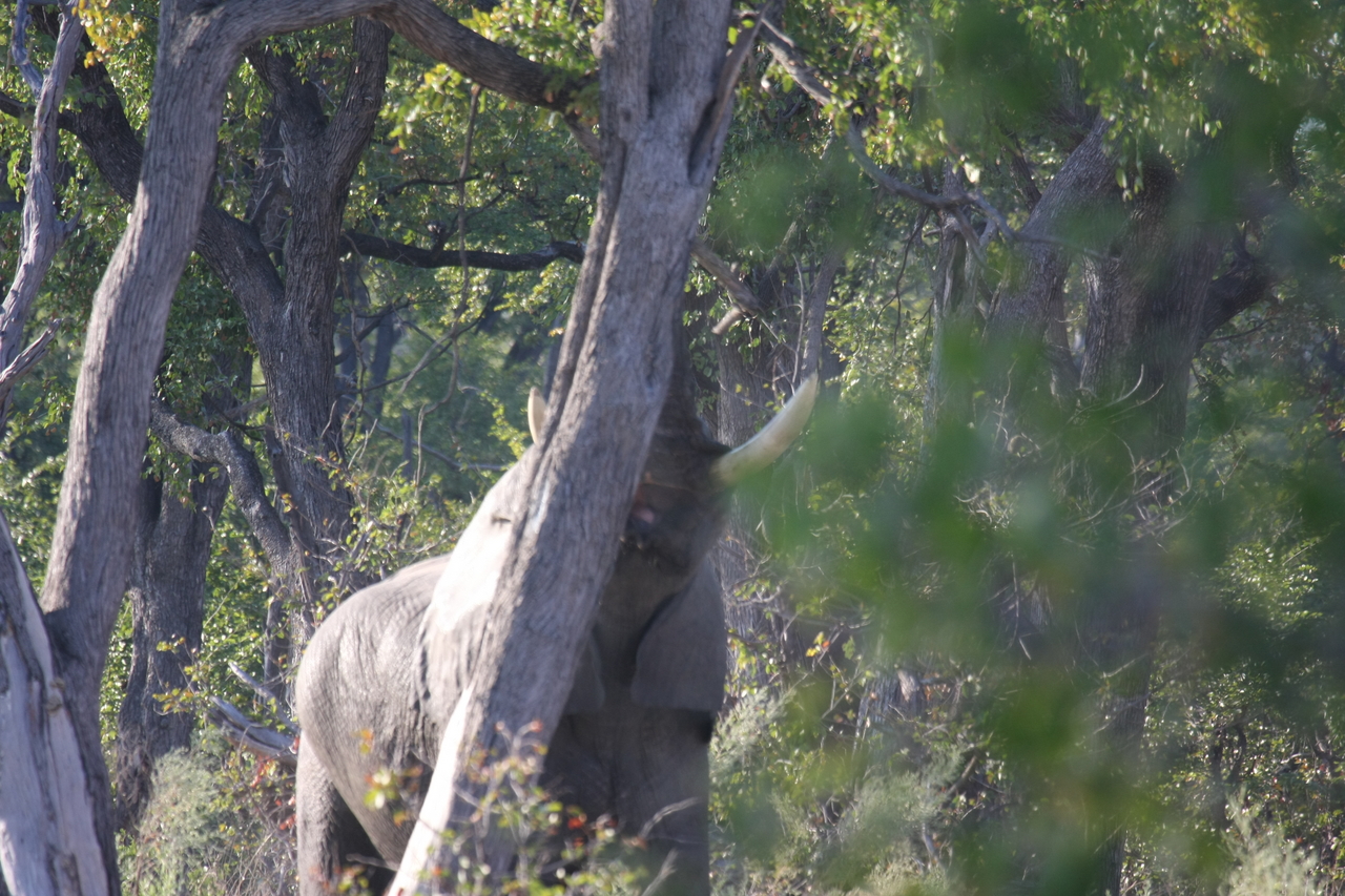 [22858] 2016_06_30_02_08_10_Africa_Canon_EOS_40D_IMG__00023.jpg