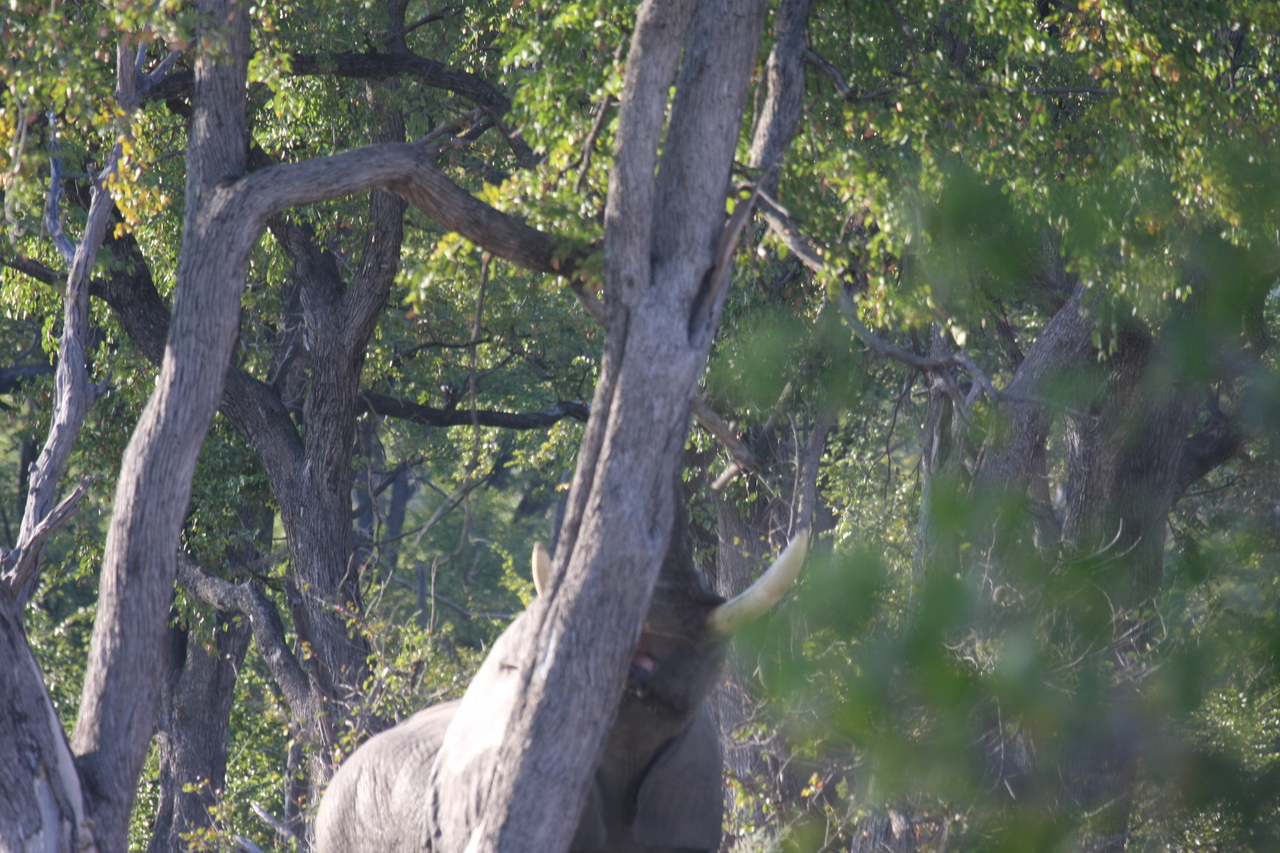 [22859] 2016_06_30_02_08_10_Africa_Canon_EOS_40D_IMG__00024.jpg