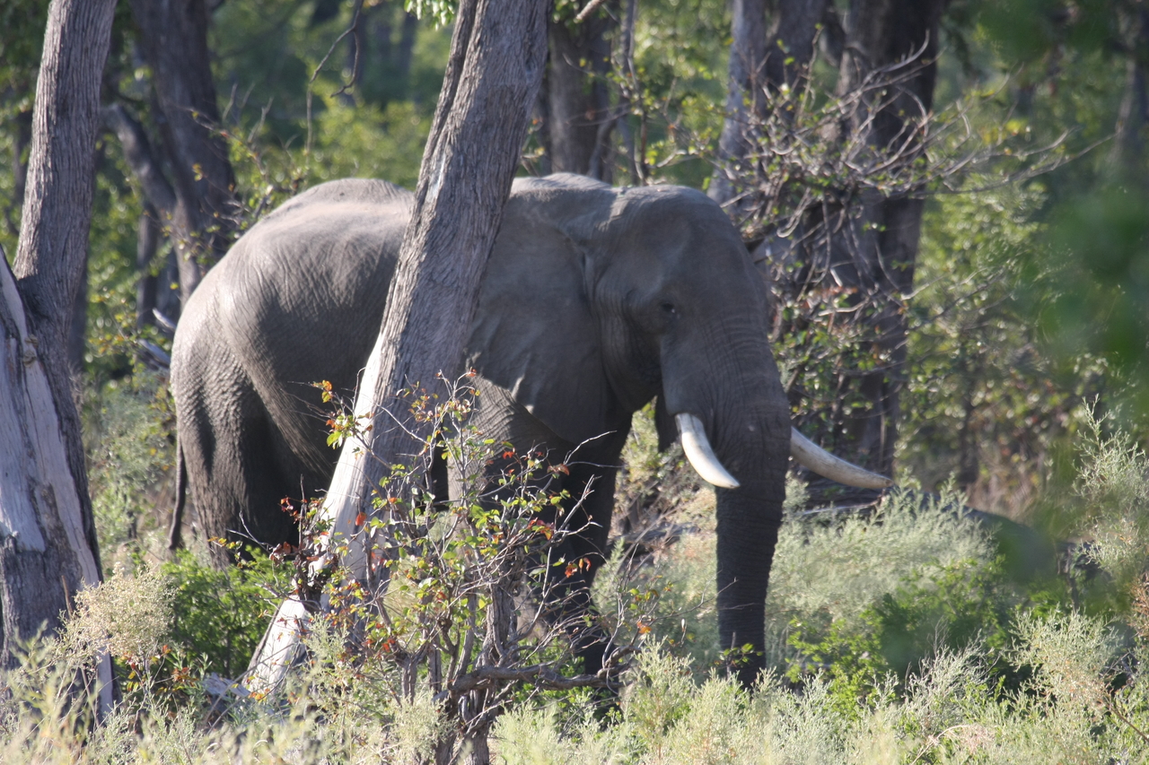 [22939] 2016_06_30_02_10_24_Africa_Canon_EOS_40D_IMG__00053.jpg