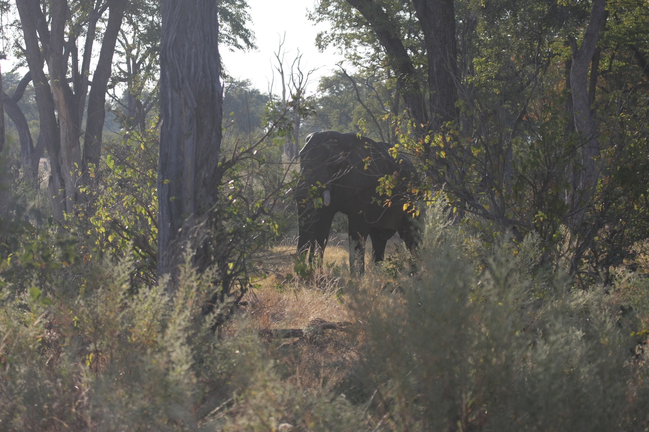 [22954] 2016_06_30_02_13_45_Africa_Canon_EOS_40D_IMG__11229.jpg