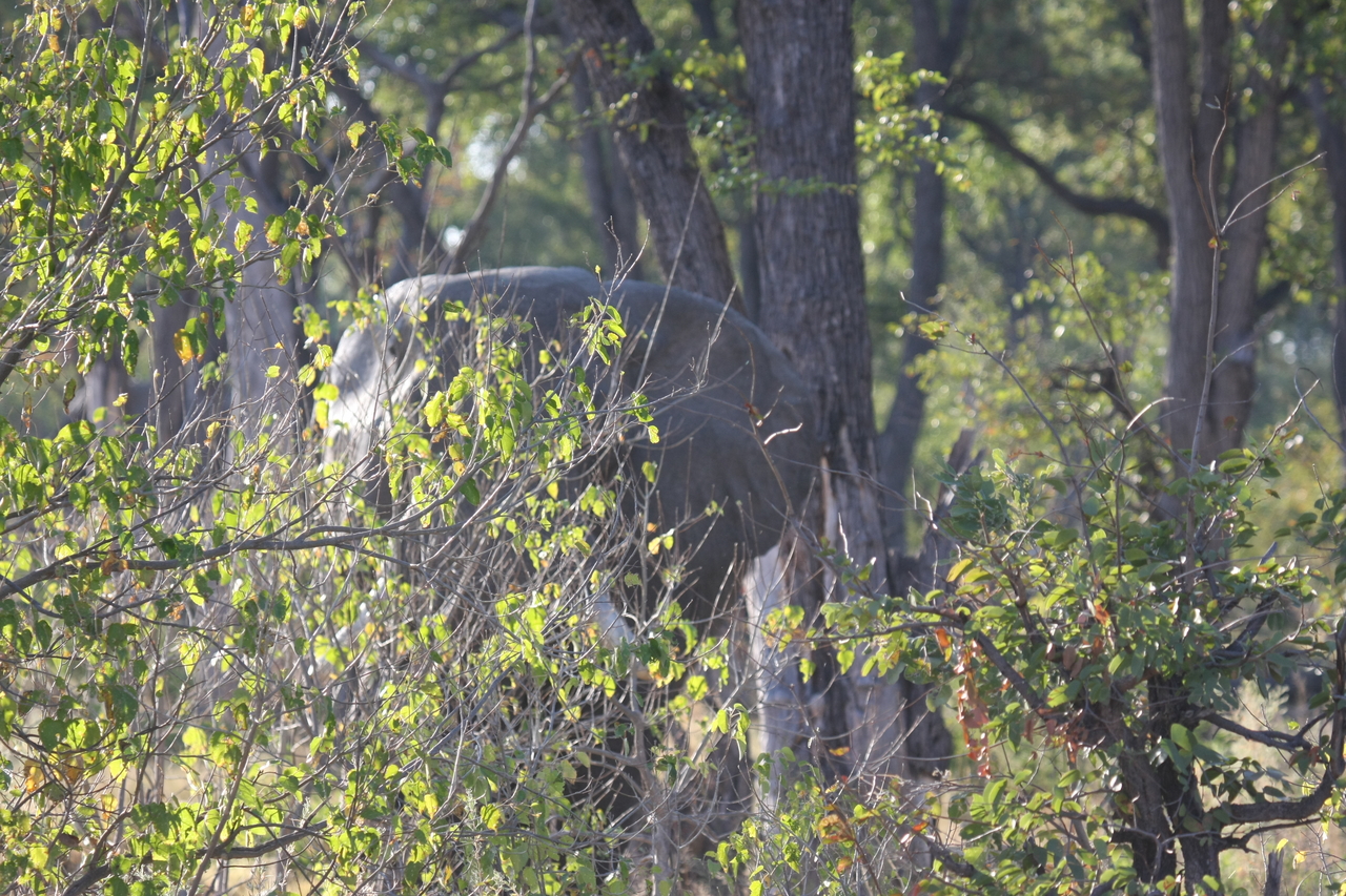 [22975] 2016_06_30_02_14_37_Africa_Canon_EOS_40D_IMG__03791.jpg