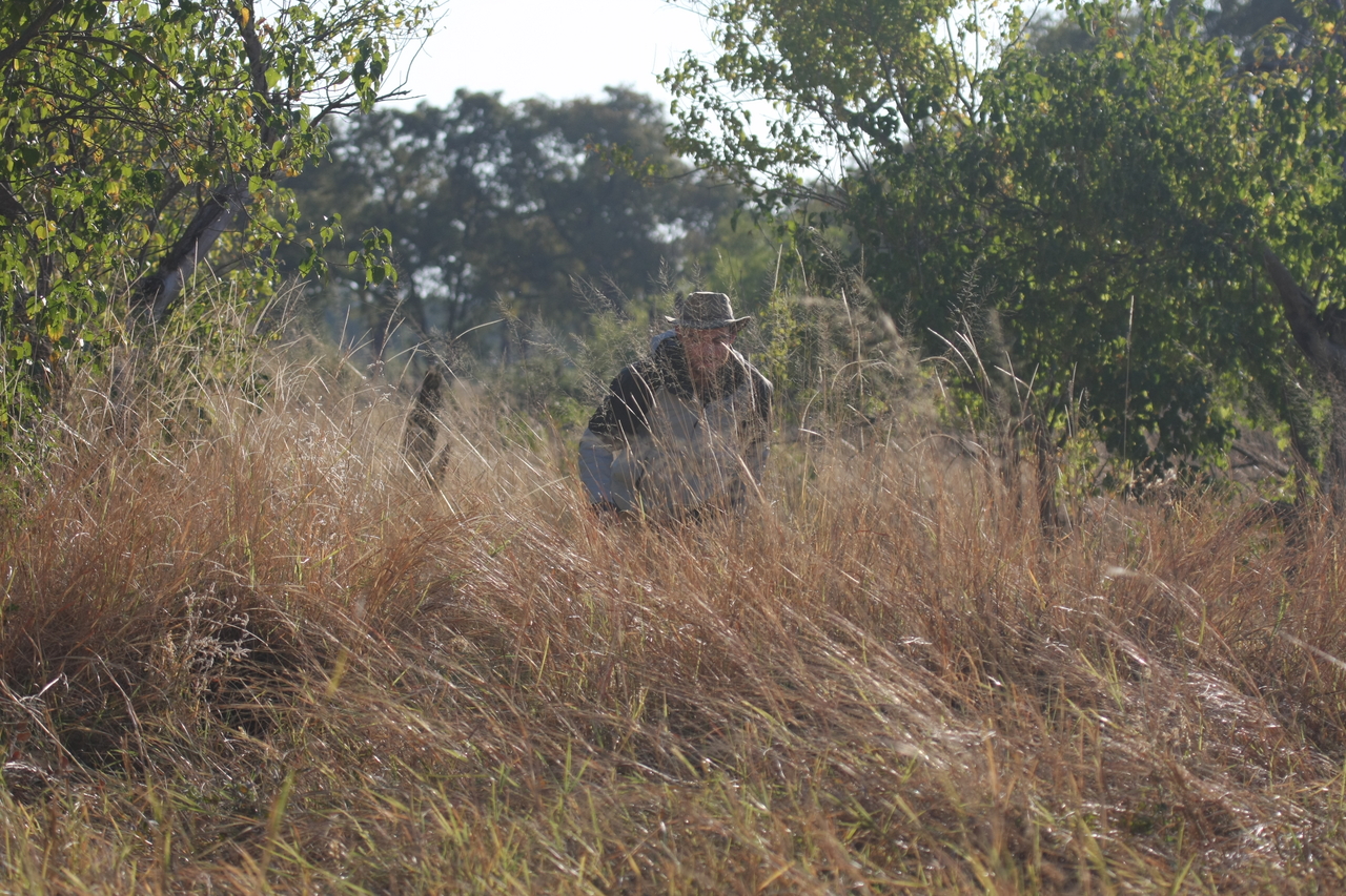 [23088] 2016_06_30_02_27_51_Africa_Canon_EOS_40D_IMG__03819.jpg