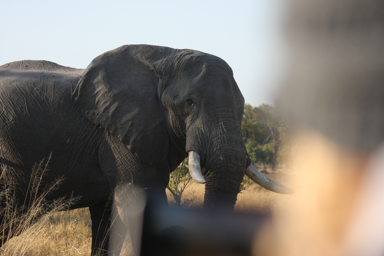 [23107] 2016_06_30_02_29_02_Africa_Canon_EOS_40D_IMG__03825.jpg