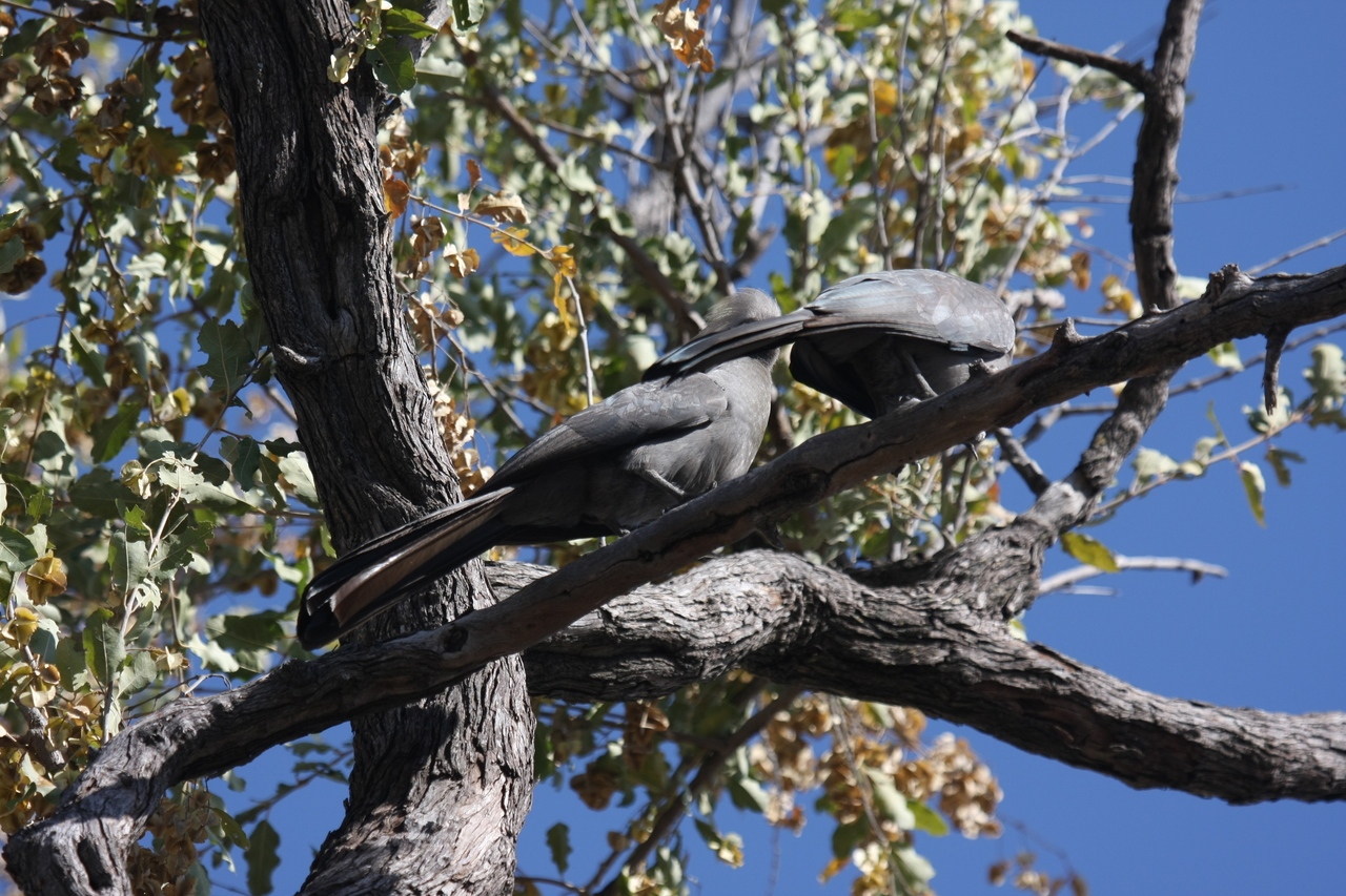 [23525] 2016_06_30_04_19_12_Africa_Canon_EOS_40D_IMG__11400.jpg