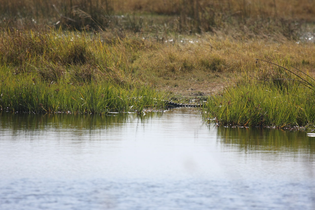 [23528] 2016_06_30_04_55_39_Africa_Canon_EOS_40D_IMG__03954.jpg