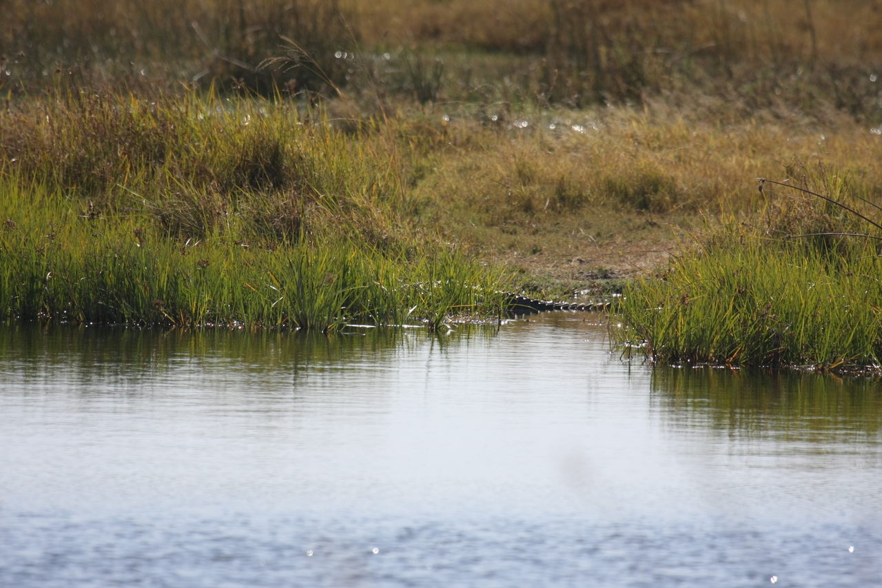 [23537] 2016_06_30_04_55_43_Africa_Canon_EOS_40D_IMG__03958.jpg