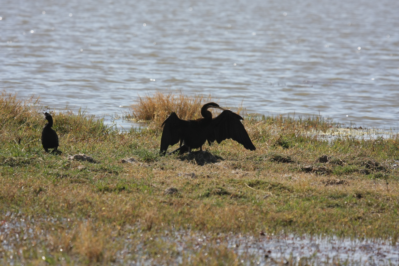 [23901] 2016_06_30_05_25_28_Africa_Canon_EOS_40D_IMG__04065.jpg