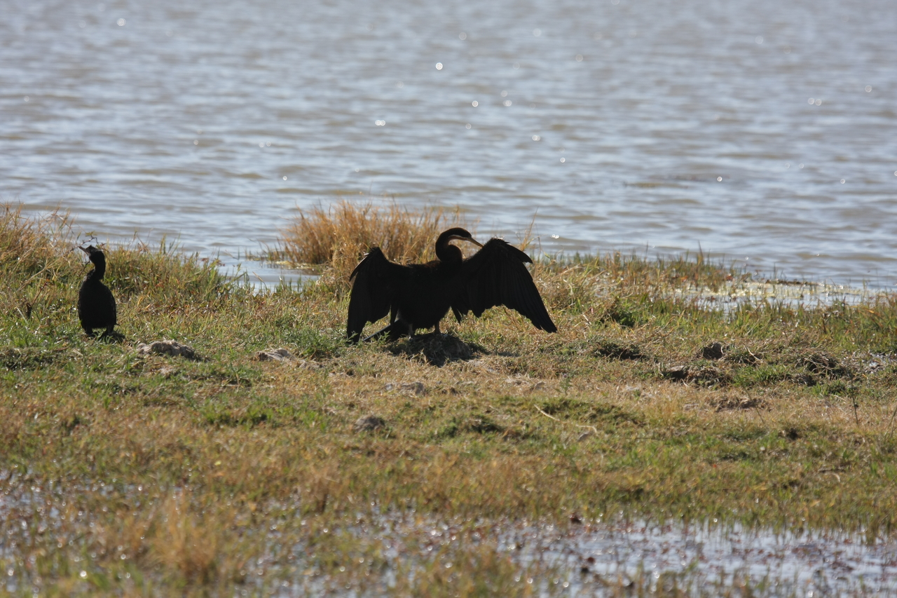 [23902] 2016_06_30_05_25_28_Africa_Canon_EOS_40D_IMG__11510.jpg