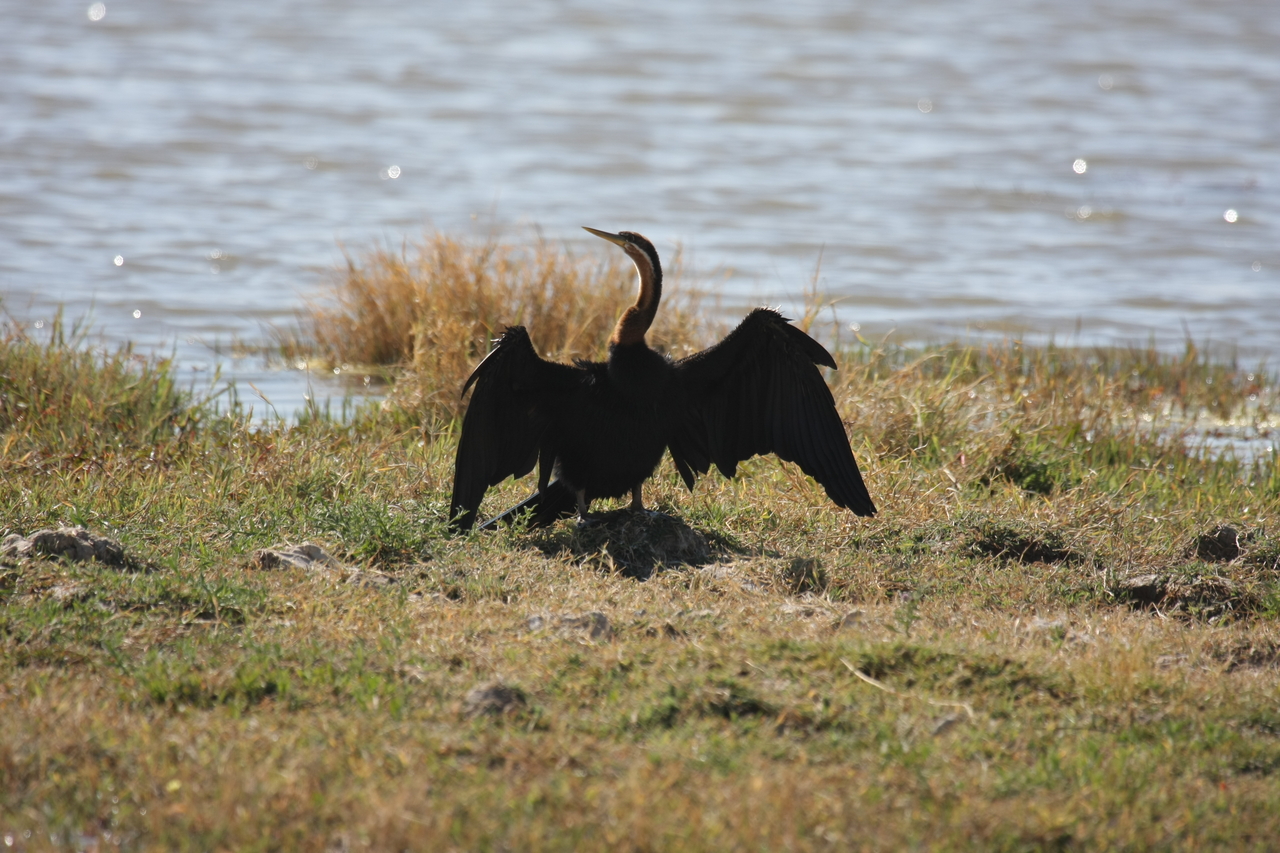 [23920] 2016_06_30_05_25_39_Africa_Canon_EOS_40D_IMG__00345.jpg