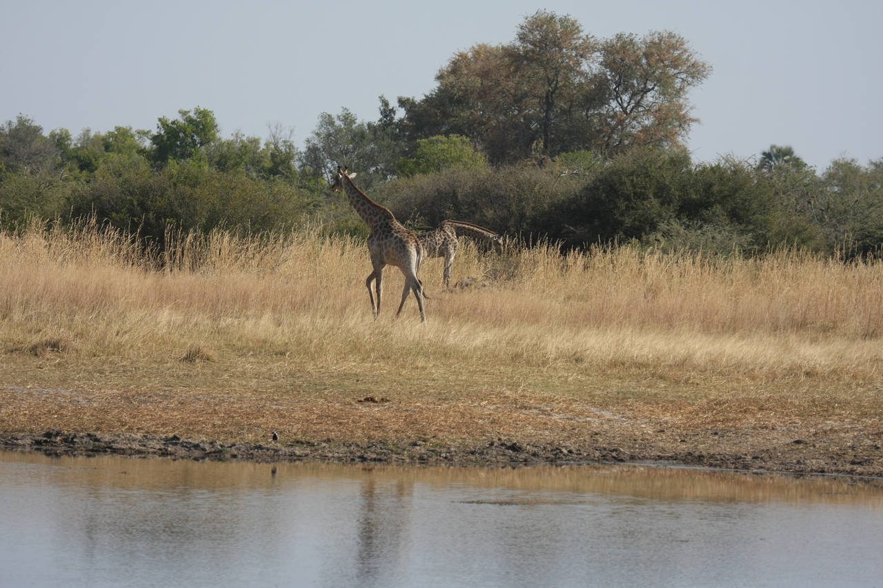 [24671] 2016_06_30_08_58_25_Africa_Canon_EOS_40D_IMG__00589.jpg