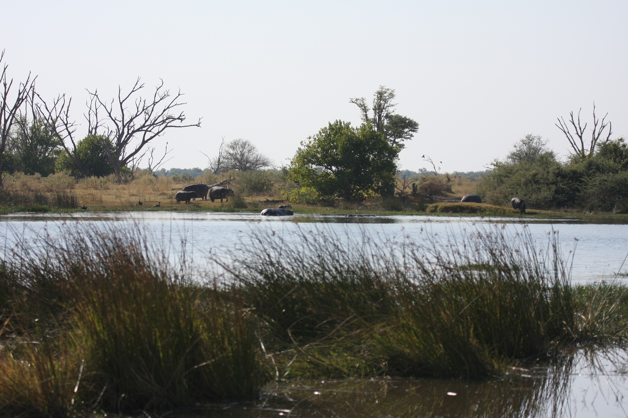 [24724] 2016_06_30_09_05_57_Africa_Canon_EOS_40D_IMG__00610.jpg