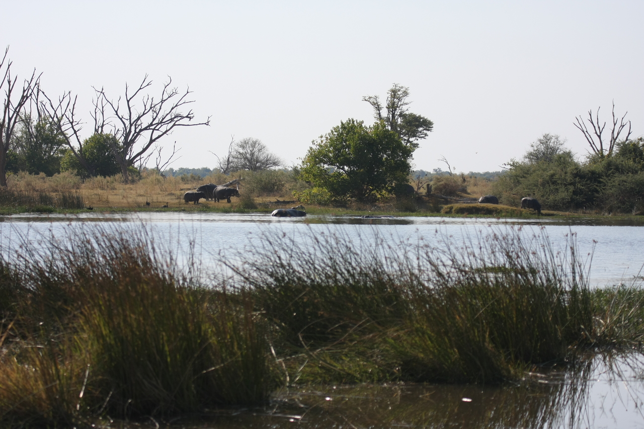 [24728] 2016_06_30_09_05_57_Africa_Canon_EOS_40D_IMG__11781.jpg