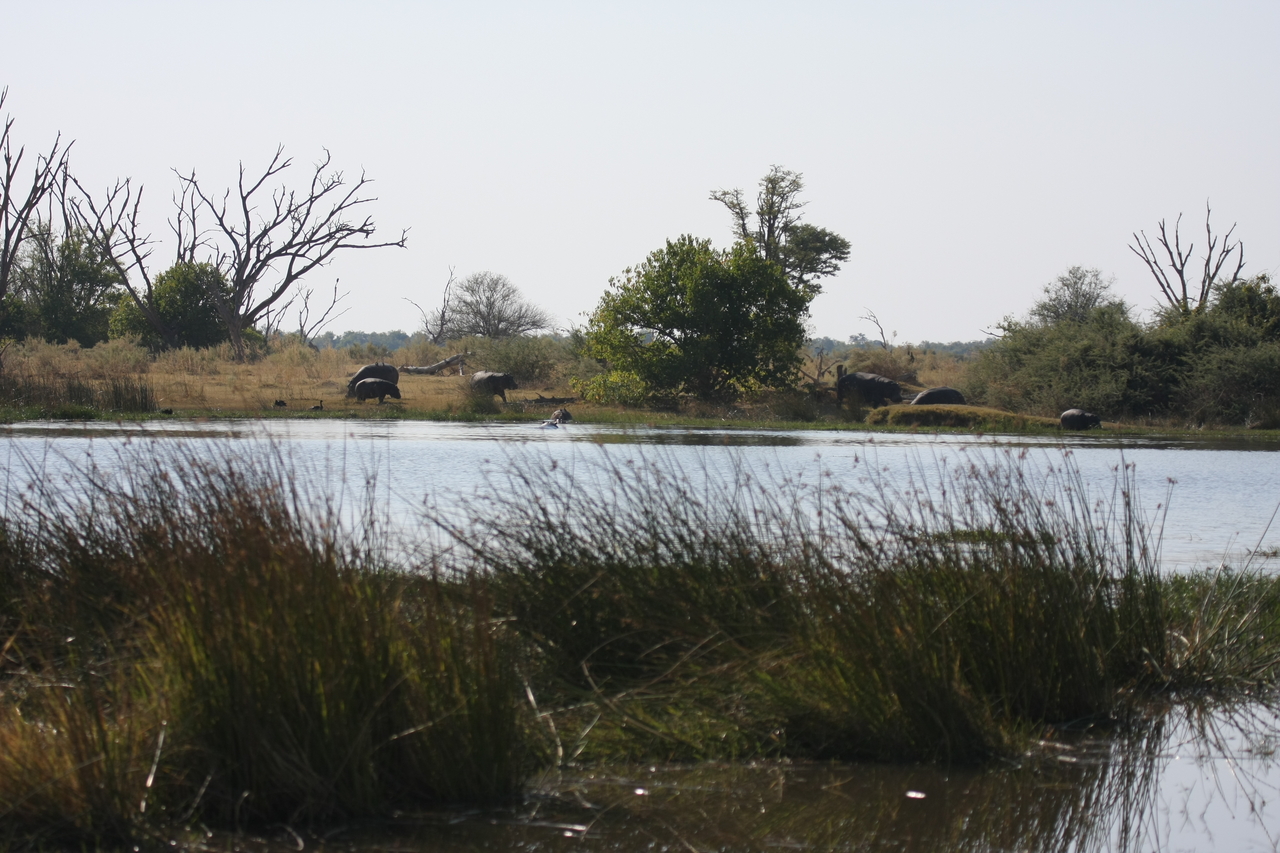 [24738] 2016_06_30_09_06_03_Africa_Canon_EOS_40D_IMG__11785.jpg