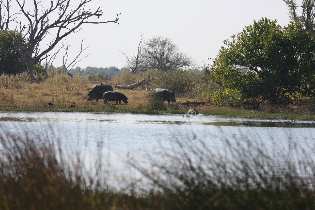 [24741] 2016_06_30_09_06_12_Africa_Canon_EOS_40D_IMG__00616.jpg