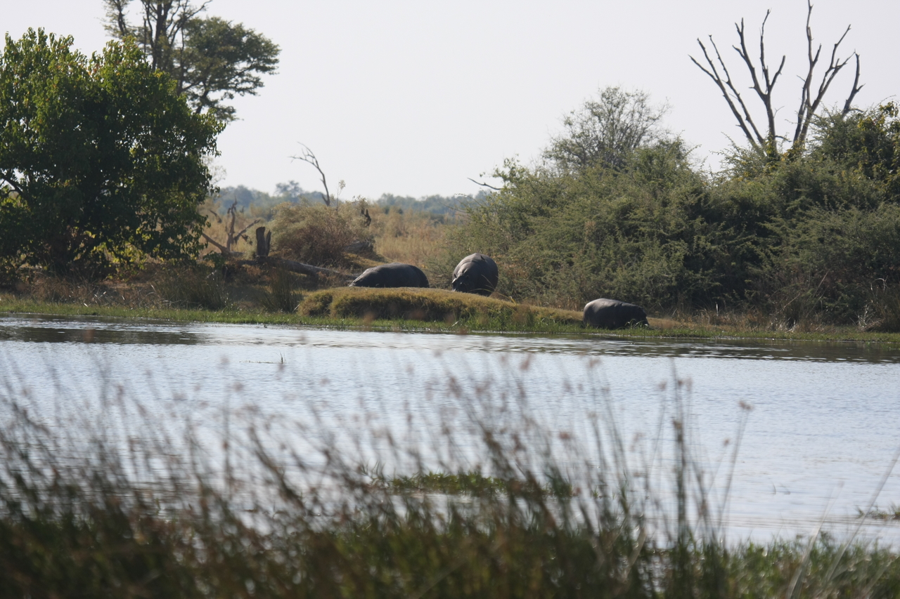 [24751] 2016_06_30_09_06_15_Africa_Canon_EOS_40D_IMG__11791.jpg