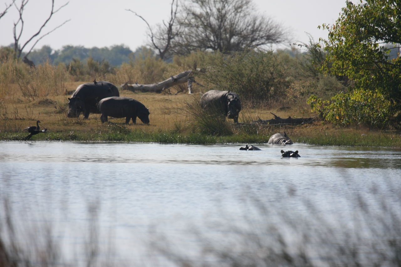 [24755] 2016_06_30_09_06_22_Africa_Canon_EOS_40D_IMG__04345.jpg