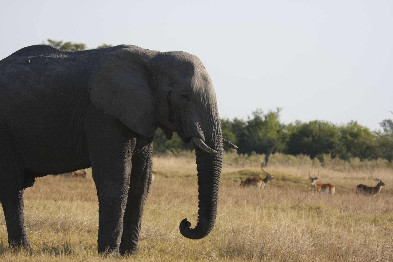 [25122] 2016_06_30_10_06_22_Africa_Canon_EOS_40D_IMG__11923.jpg