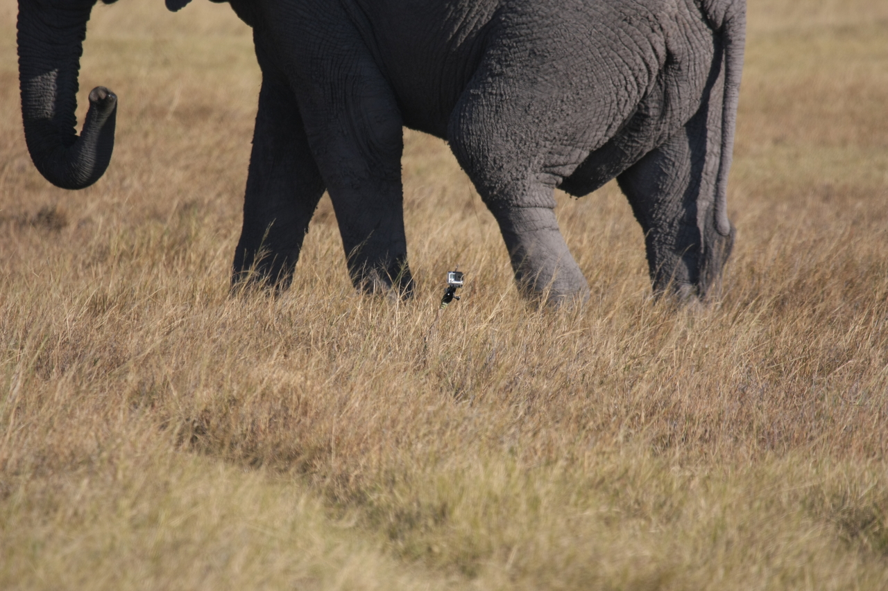 [25180] 2016_06_30_10_09_33_Africa_Canon_EOS_40D_IMG__11940.jpg