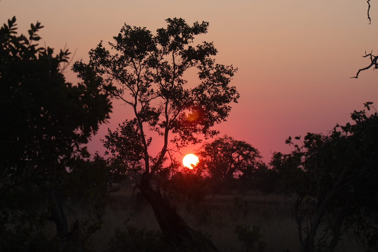 [25216] 2016_06_30_11_53_40_Africa_Canon_EOS_40D_IMG__11951.jpg