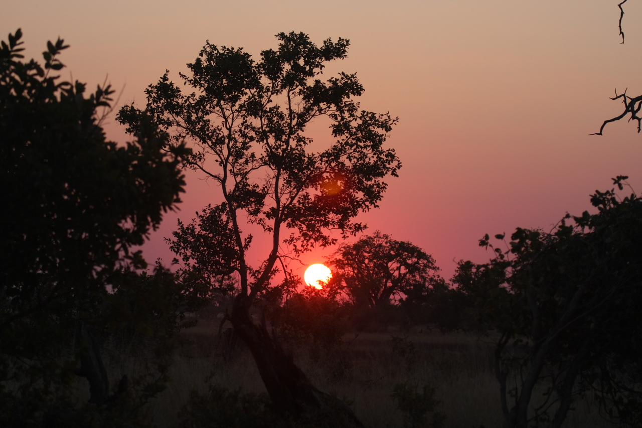 [25227] 2016_06_30_11_53_43_Africa_Canon_EOS_40D_IMG__04510.jpg