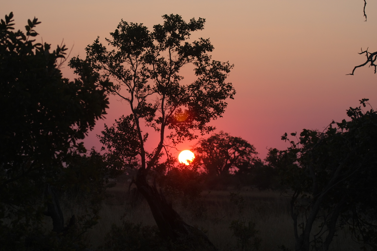 [25233] 2016_06_30_11_53_45_Africa_Canon_EOS_40D_IMG__11958.jpg