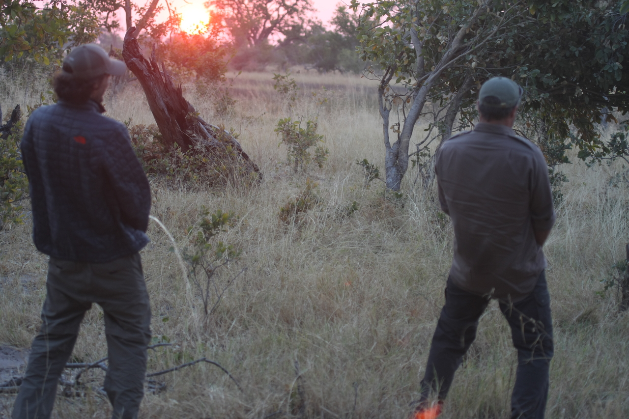 [25237] 2016_06_30_11_54_17_Africa_Canon_EOS_40D_IMG__00789.jpg