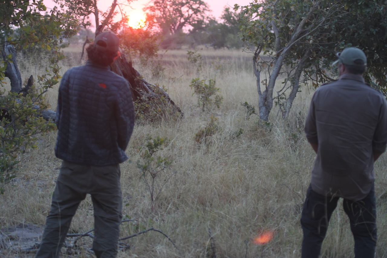 [25247] 2016_06_30_11_54_28_Africa_Canon_EOS_40D_IMG__00792.jpg