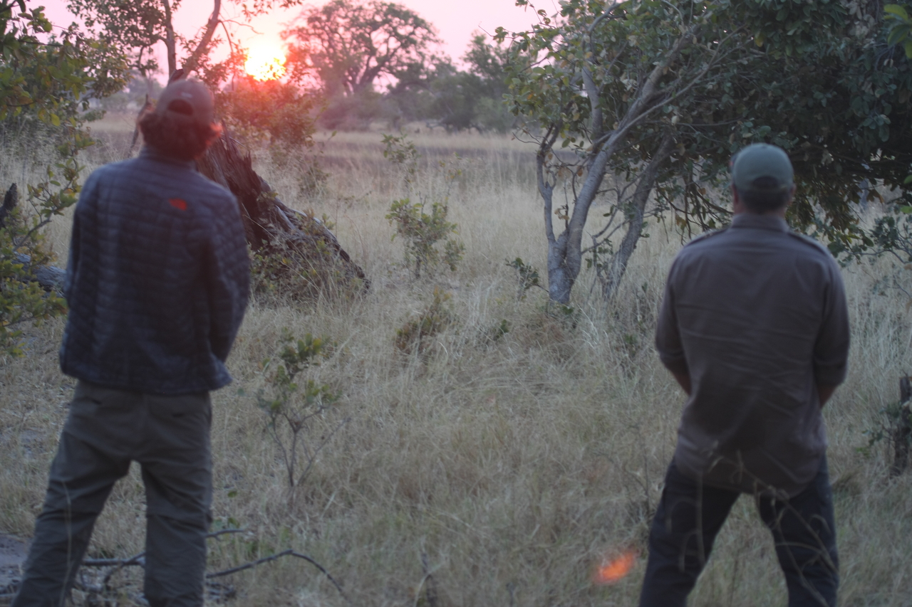 [25264] 2016_06_30_11_54_33_Africa_Canon_EOS_40D_IMG__11968.jpg