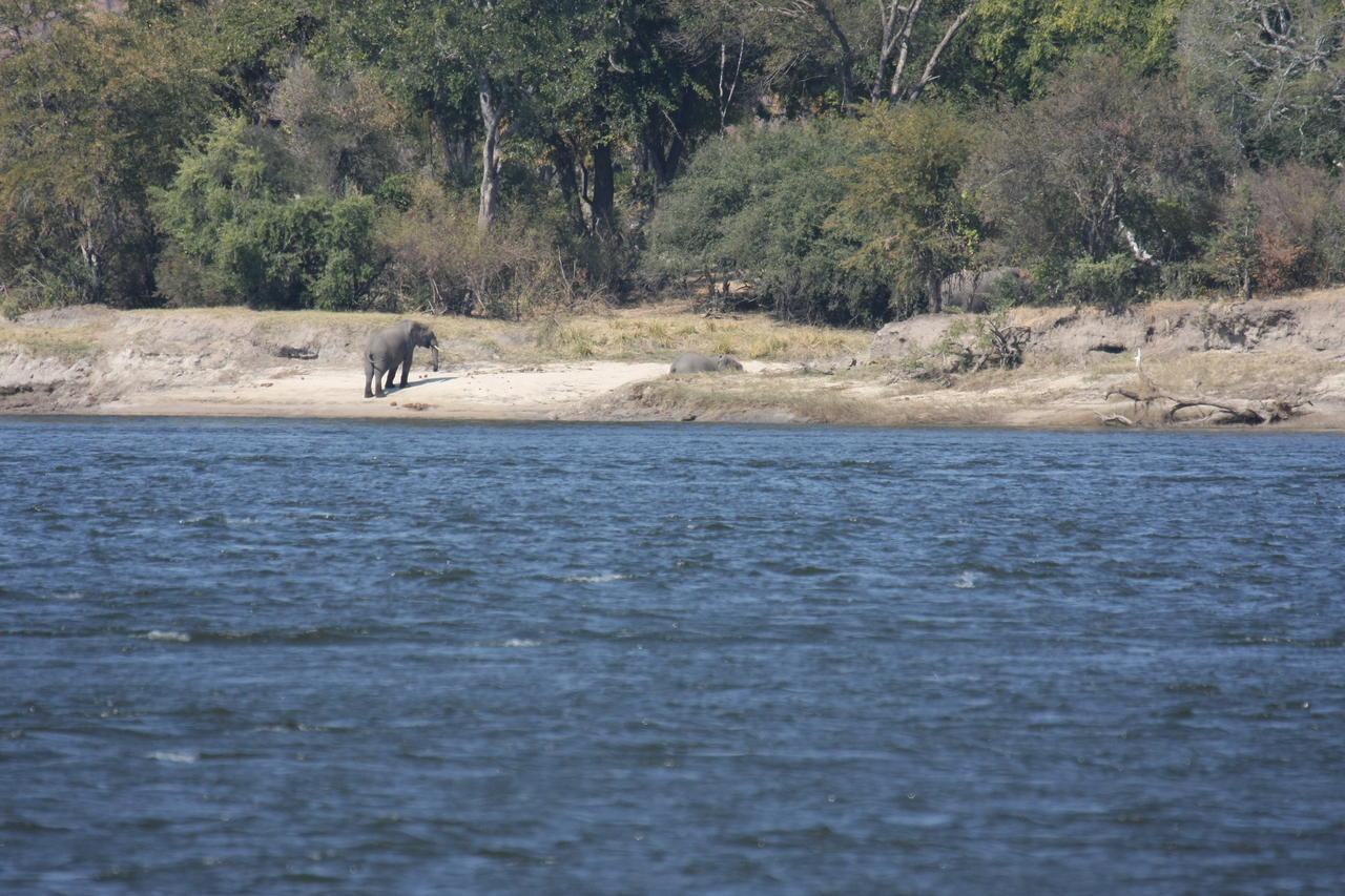 [27860] 2016_07_02_07_53_39_Africa_Canon_EOS_40D_IMG__12277.jpg