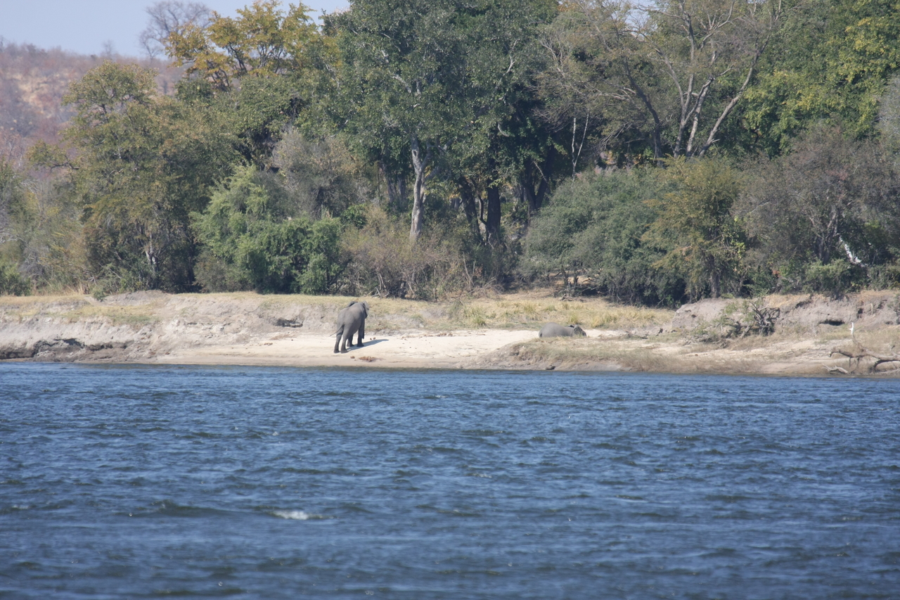 [27862] 2016_07_02_07_53_42_Africa_Canon_EOS_40D_IMG__00006.jpg