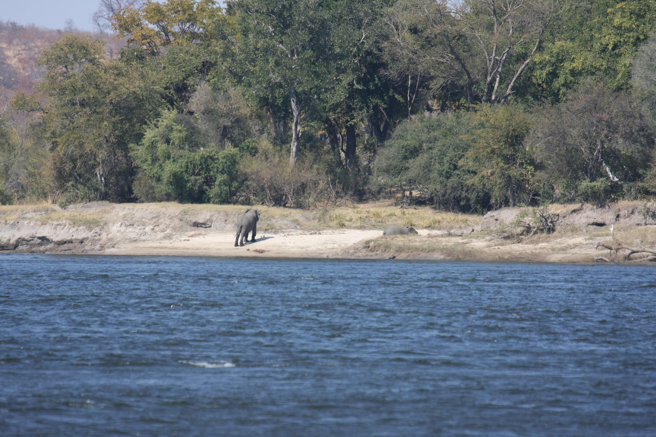 [27864] 2016_07_02_07_53_42_Africa_Canon_EOS_40D_IMG__04548.jpg