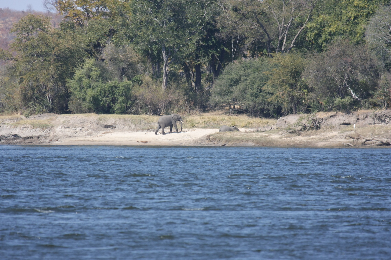[27878] 2016_07_02_07_53_54_Africa_Canon_EOS_40D_IMG__12000.jpg