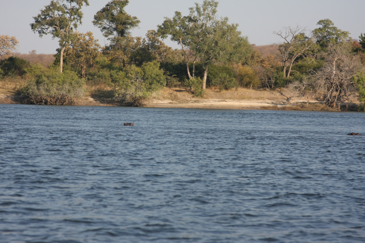 [28141] 2016_07_02_10_17_38_Africa_Canon_EOS_40D_IMG__00024.jpg