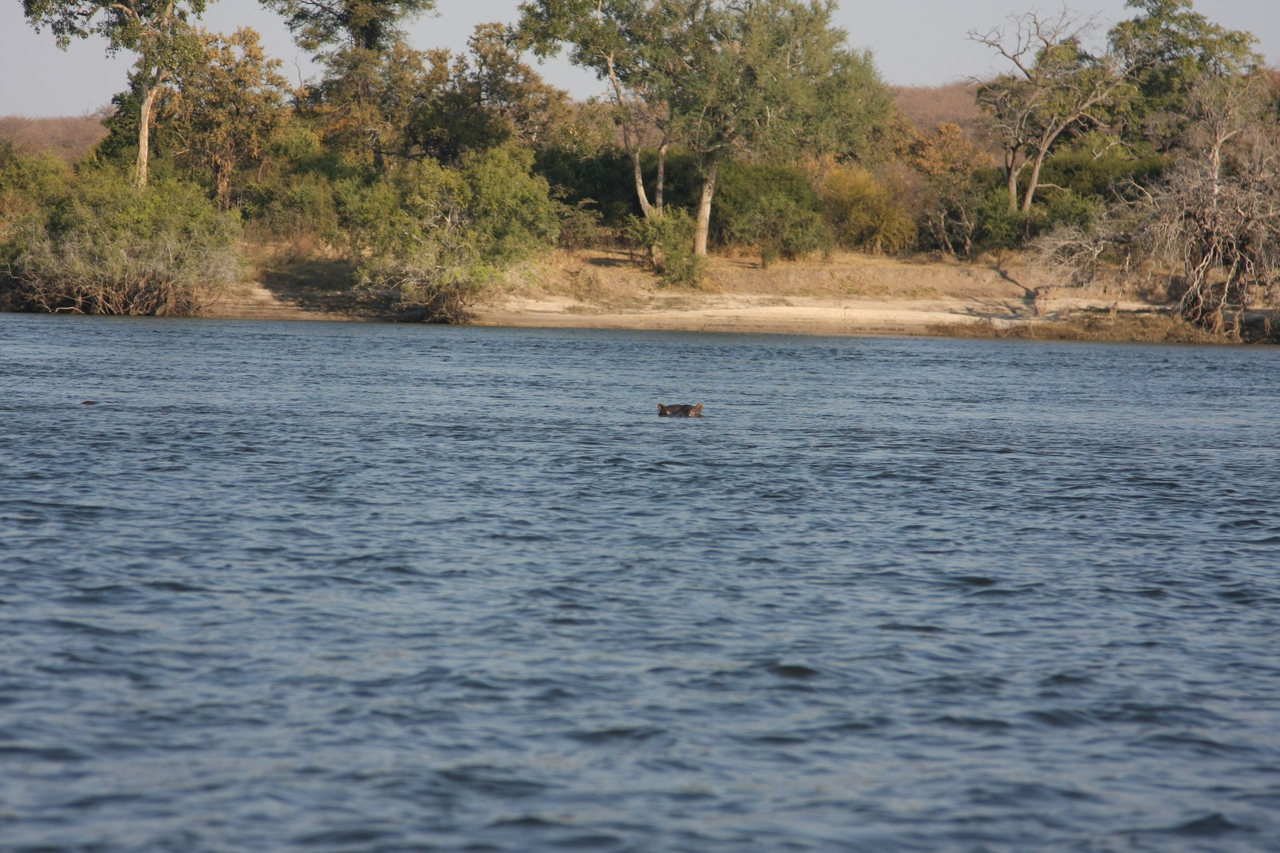 [28147] 2016_07_02_10_17_48_Africa_Canon_EOS_40D_IMG__00027.jpg