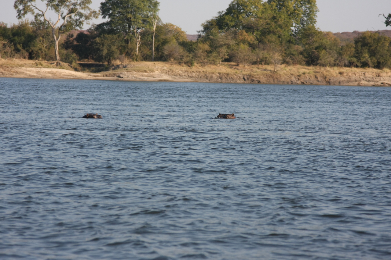 [28152] 2016_07_02_10_18_15_Africa_Canon_EOS_40D_IMG__00028.jpg