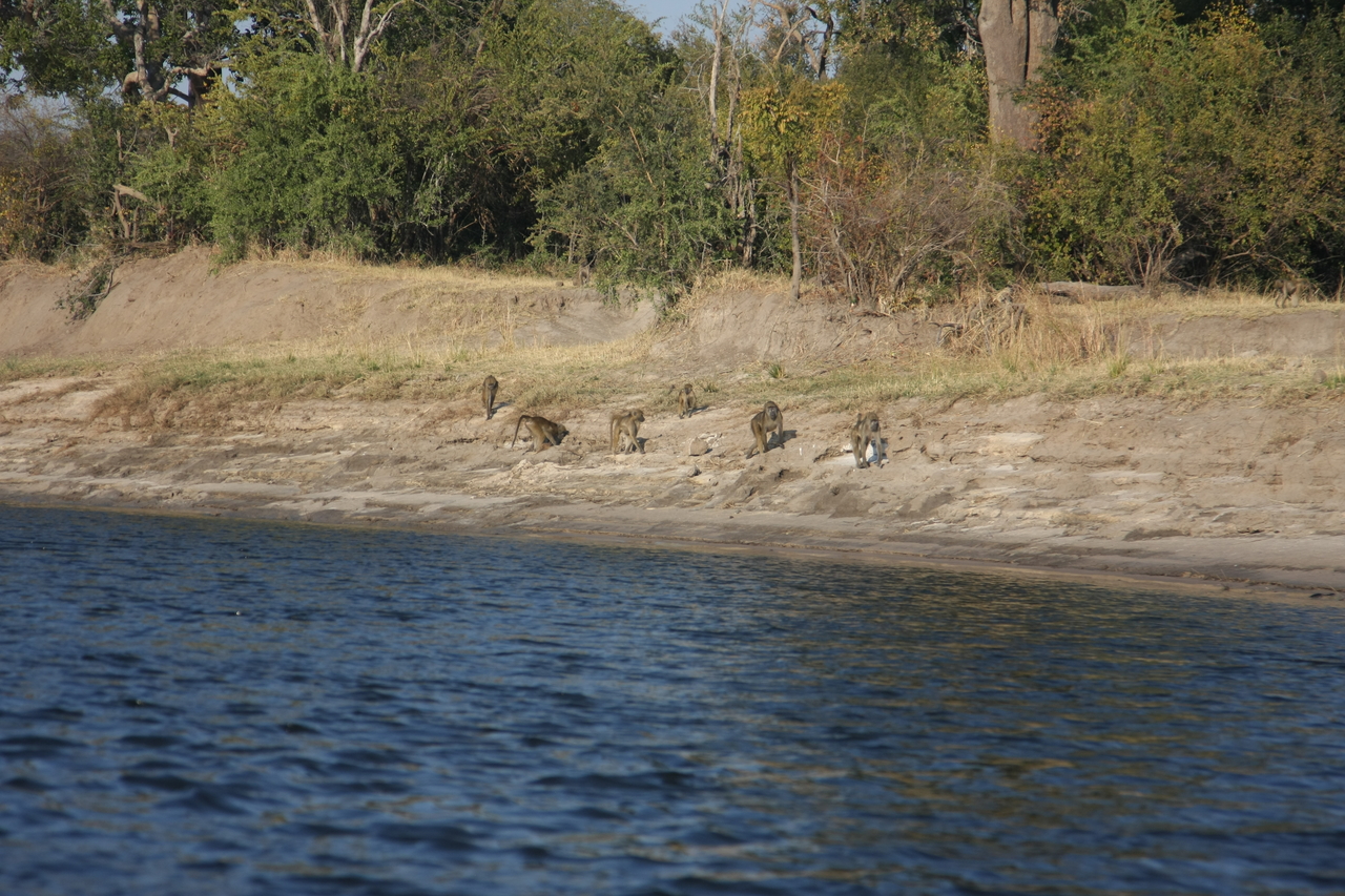 [28204] 2016_07_02_10_26_13_Africa_Canon_EOS_40D_IMG__12033.jpg