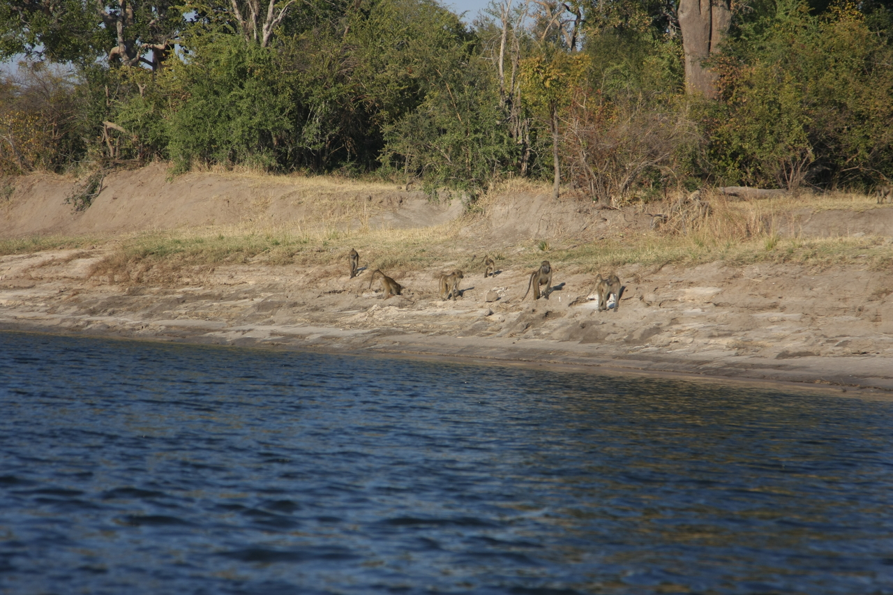 [28205] 2016_07_02_10_26_13_Africa_Canon_EOS_40D_IMG__12034.jpg