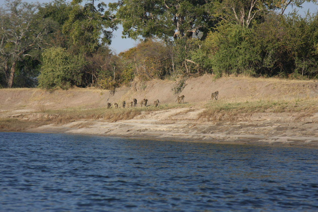 [28209] 2016_07_02_10_26_35_Africa_Canon_EOS_40D_IMG__00046.jpg