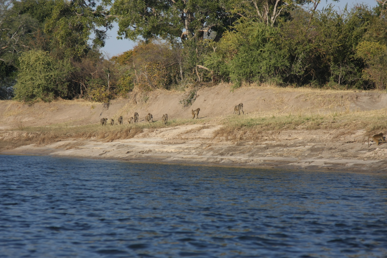 [28217] 2016_07_02_10_26_35_Africa_Canon_EOS_40D_IMG__12039.jpg